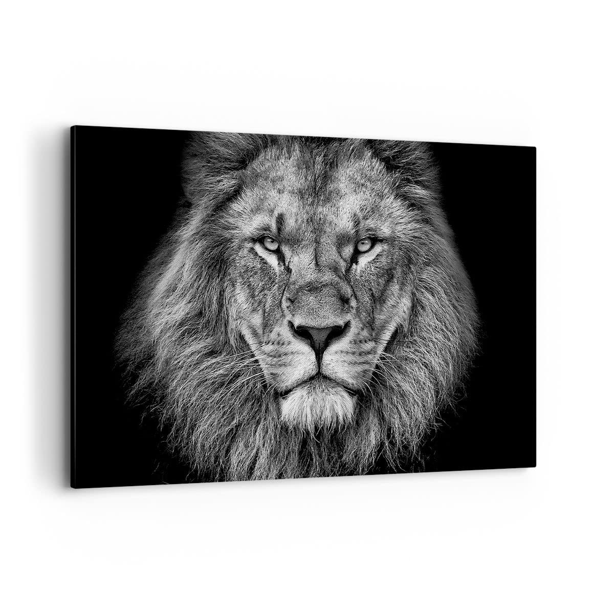Cuadros Decoracion Salon Retrato León Blanco Y Negro Lienzos decorativos 120x80cm Cuadro Sobre Lienzo Moderno Dormitorio Cocina Cuadros Pared Imágenes Wall Art Prints Decor Grande XXL AA120x80-4494
