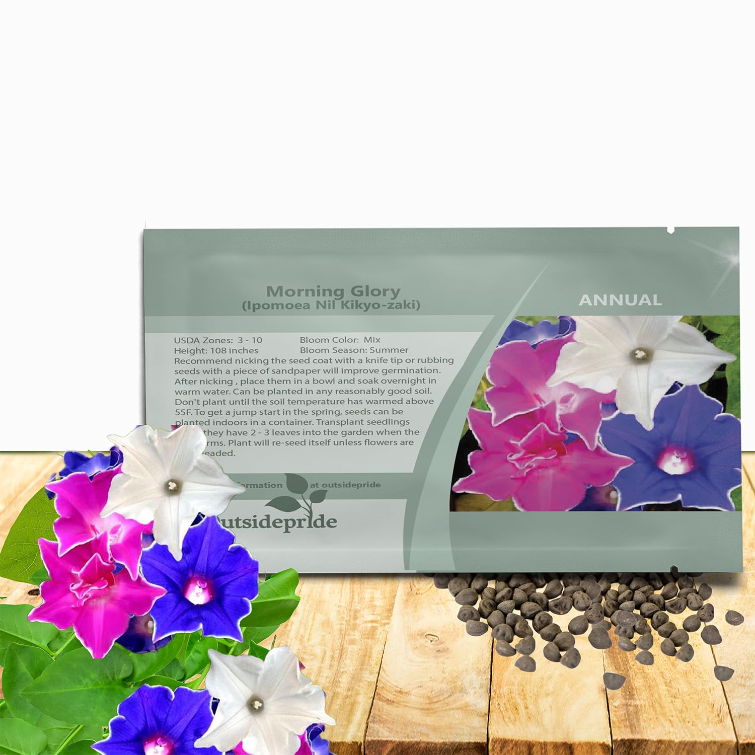 Amazon.com : Outsidepride Kikyo-Zaki Morning Glory Seeds - 50 Pcs
