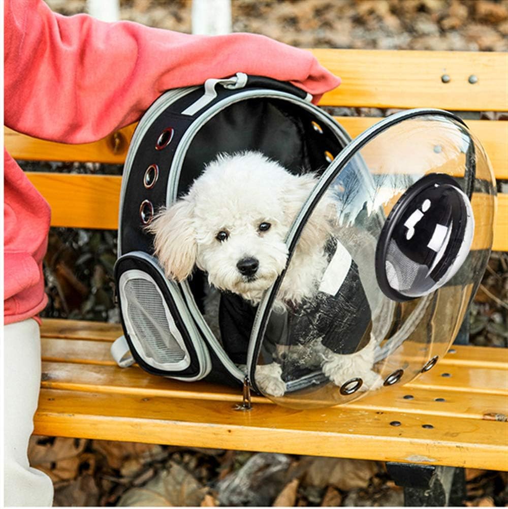 backpack with dog design