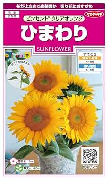 かわさきひまわり様 71FexcClpQL._UF350,350_QL50_.jpg