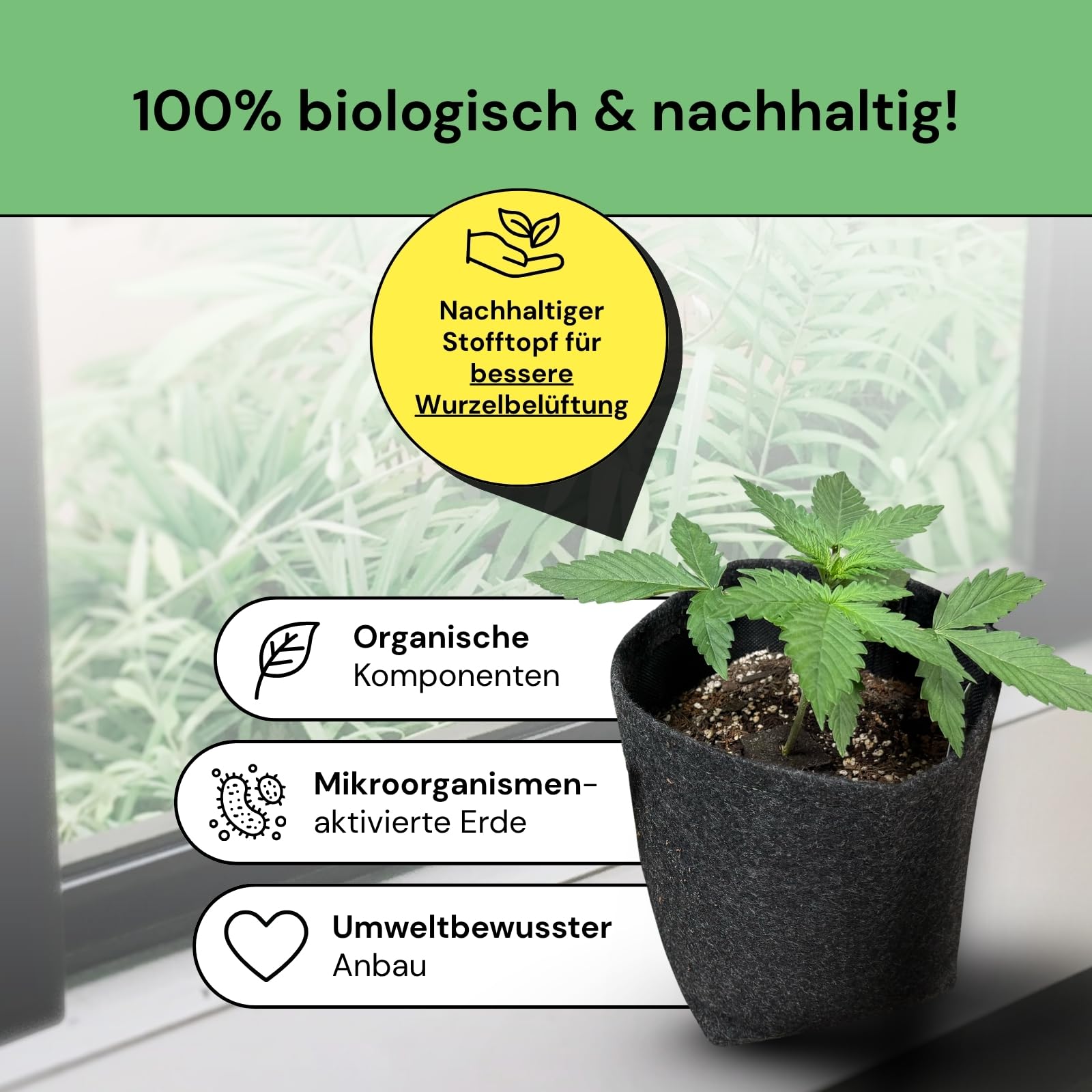 Easy Grow Kit - Komplettes Pflanzen Anzuchtset für Anfänger – Mit Bio-Erde, Dünger & Filztopf – Anzucht Zubehör Set mit Schritt-für-Schritt Anleitung