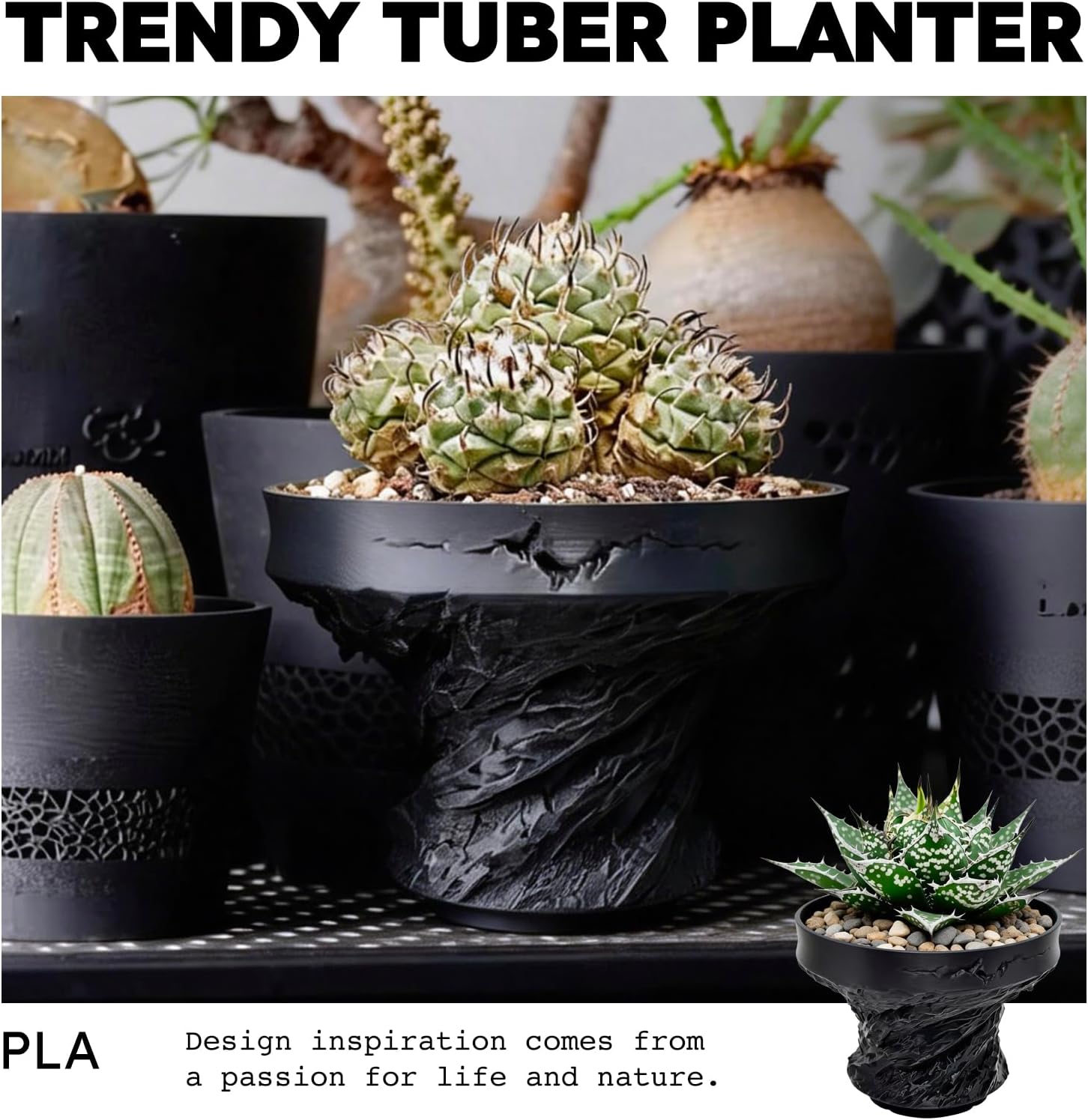 Black Succulent Pot, Creative Desktop Succulent Planter, Flower Pot for Succulents, Home Office Living Room Table Deco