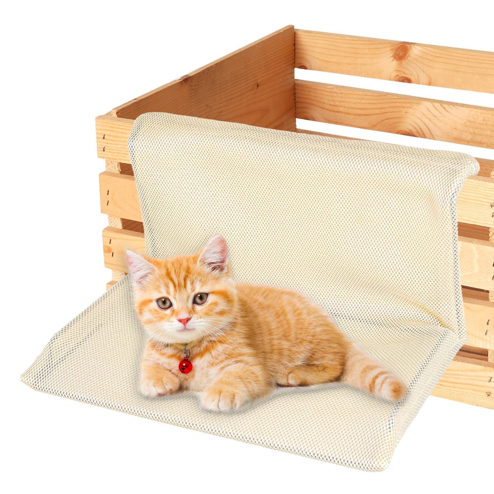 Hamac de fenêtre pour chats d'intérieur : offrez-lui un bain de soleil confortable