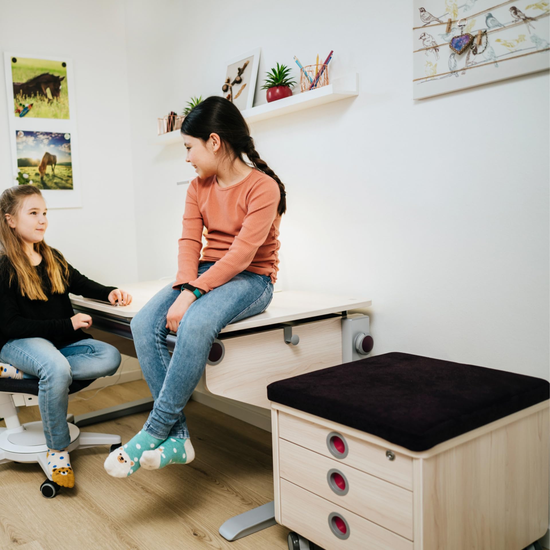Moll Pad Sitzkissen für Rollcontainer | Bequeme Sitzauflage für Pro & Cubic | abnehmbar & pflegeleicht | ideale Ergänzung Kinderschreibtische | Made in Germany