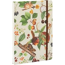 Kokonote A5 Notebook Hardback, Dotted Journal - Autumn Dream, Cute Gifts