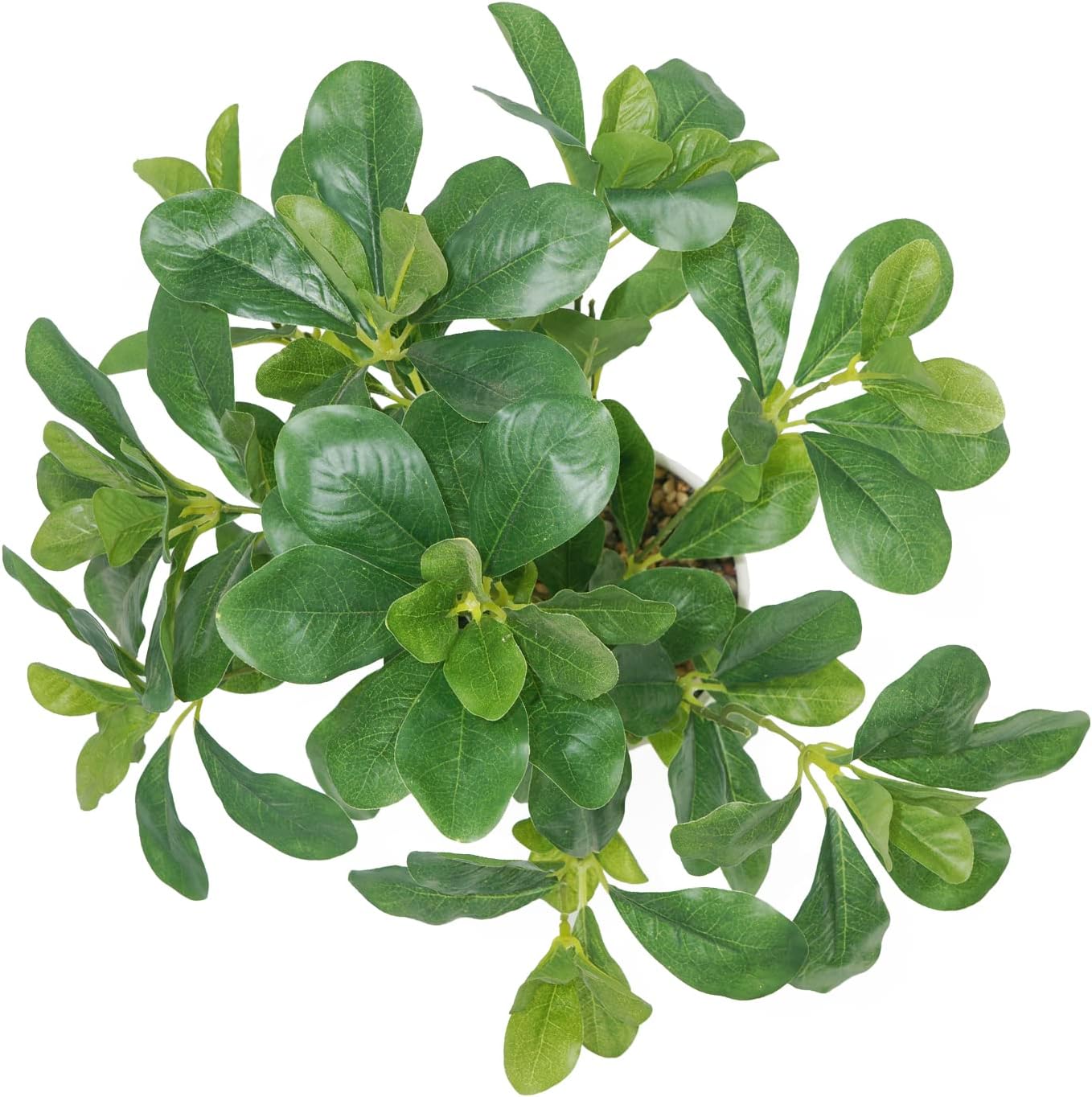 Artificial Potted Plant Leaves, 16.9" Artificial Shrubs Plants Arrangements Fake Eucalyptus Leaves with Vase Faux Greenery Leaf for Home Garden Table Centrepieces Indoor Décor - Image 4