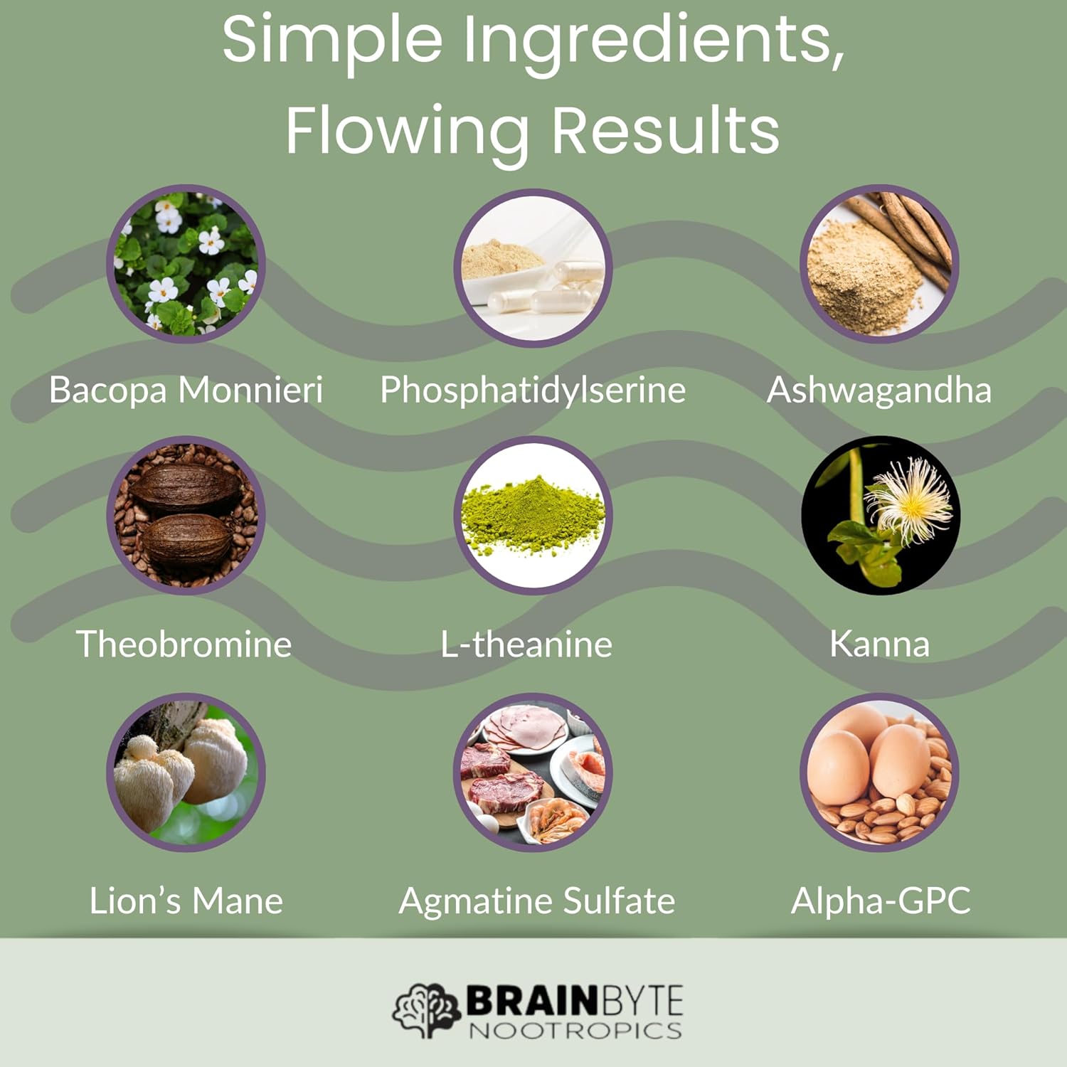 All-in-One Nootropic Supplement for Men & Women | Caffeine-Free Focus with L-Theanine & Phosphatidylserine (120 Count)