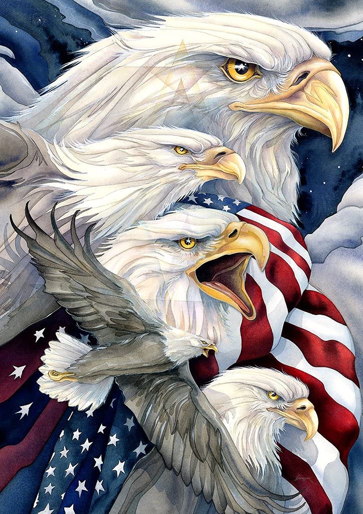 Vabiean 5D Full Drill Diamond Painting Art, Gem Art Kit Bald Eagle American Flag Paint with Diamonds, Jewel Art Set Round Animals Diamond Painting Dotz Wall Home Decor Art 12x16inch