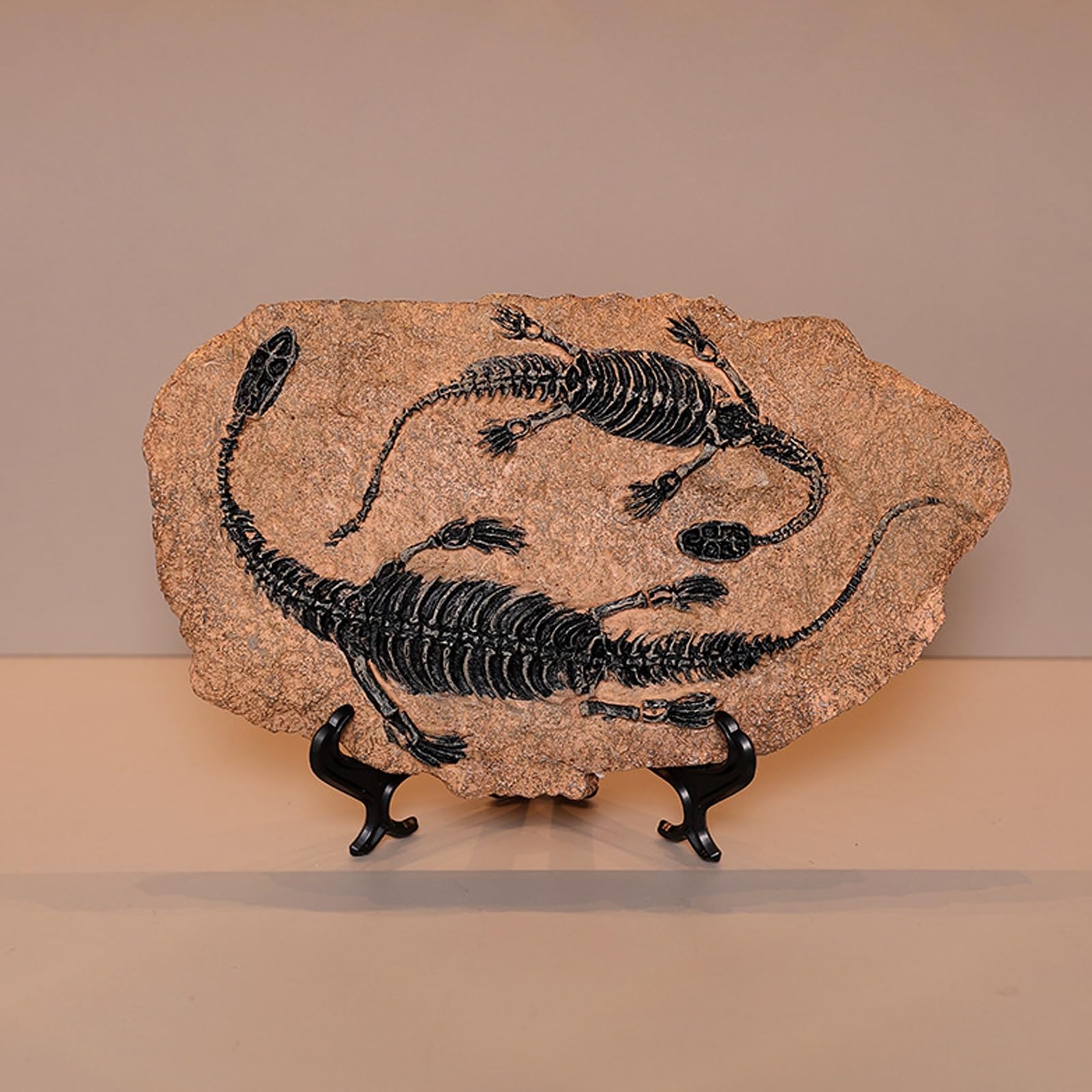 Estatua de fósil de Dinosaurio, Figuras de fósil de Dinosaurio Tyrannosaurus Rex de Resina, Escultura de paleontología Retro, Adornos creativos de artesanía de Resina, Modelo de Esqueleto(A)
