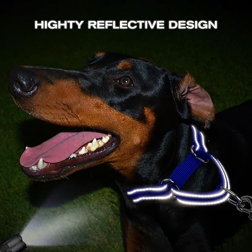Miniatura 5 de Joytale Collar Martingale para perros, reflectante resistente para mayor seguridad, hebilla de liberación rápida, collares de nailon ajustables para