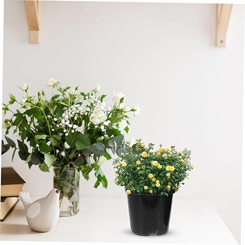 Miniatura 8 de Amosfun Macetas de plástico para plantas de interior, 80 unidades, macetas de plástico para plantas de interior, contenedores de vivero, materia