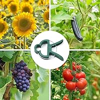 Vista 4 de 20 piezas de clips suaves para plantas y flores para apoyar tallos