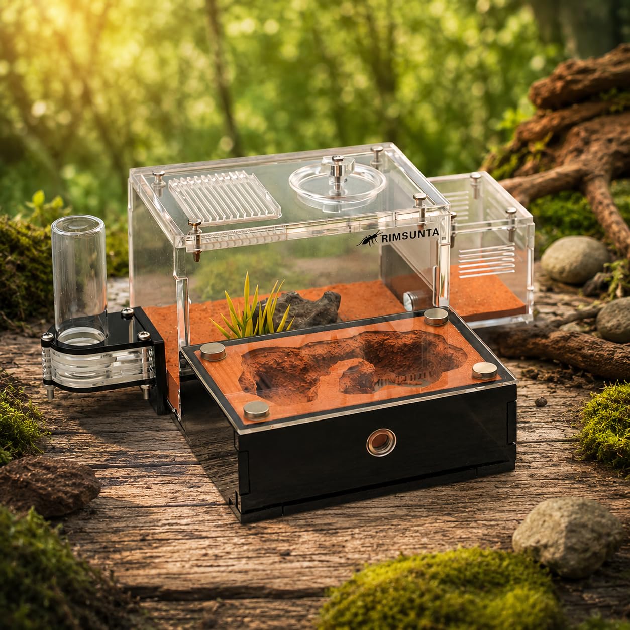 Formicarium - Hábitat de granja de hormigas para hormigas vivas y reinas, kit educativo para adultos para estudio y aprendizaje de comportamiento de hormigas