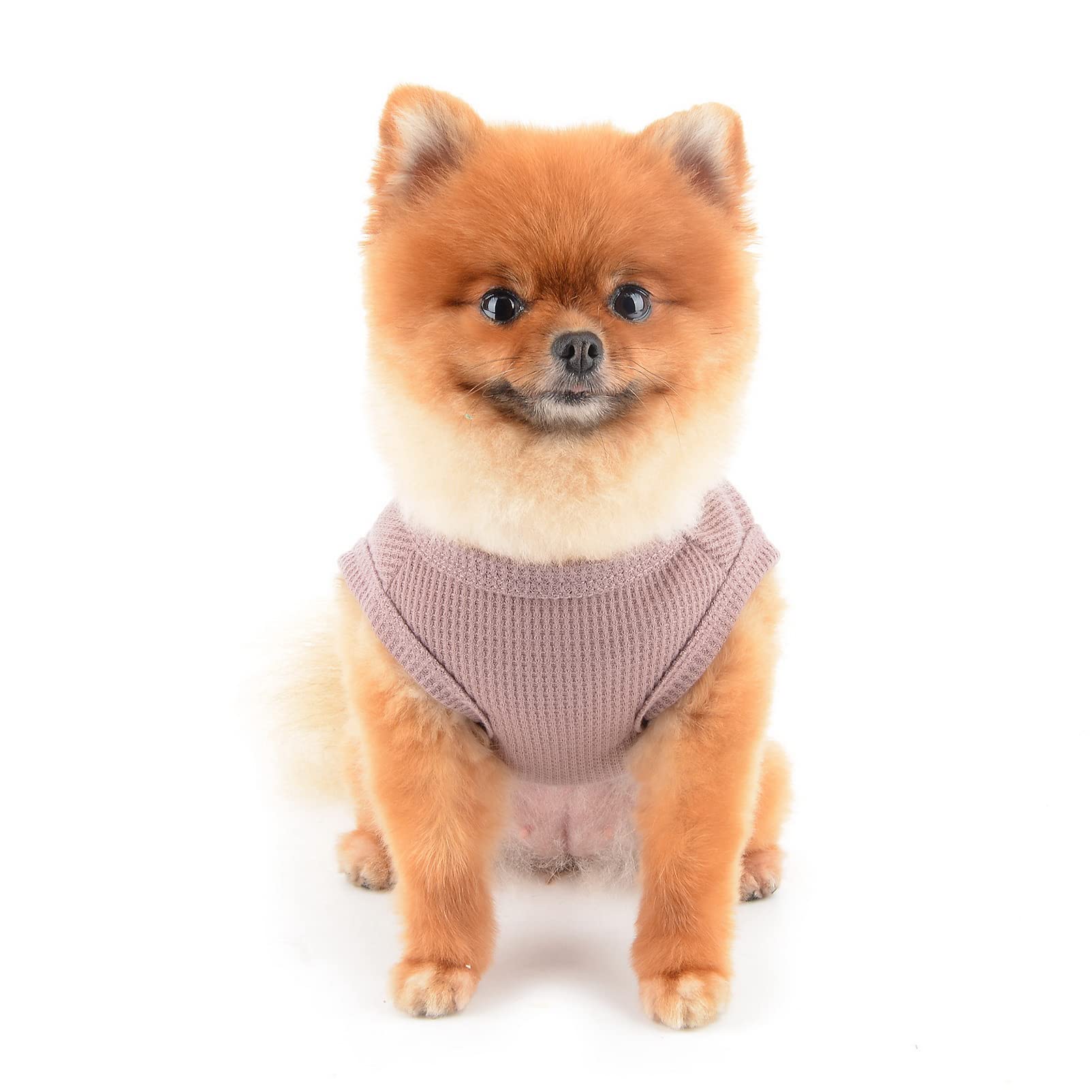 Suéter Para Perros Pequeños, Disfraz Para Perros, Monocolor