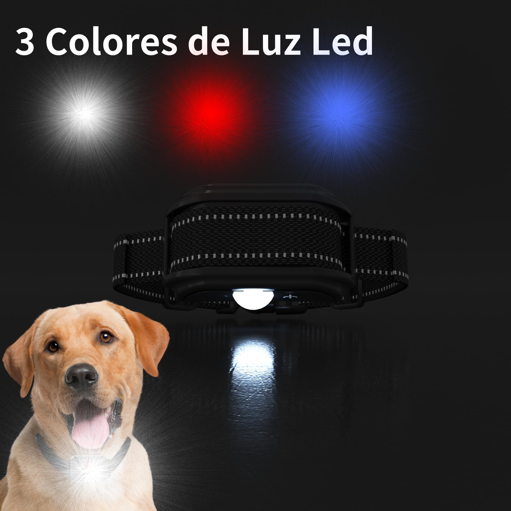 Meloive Collar Nylon Perro MDT101-2