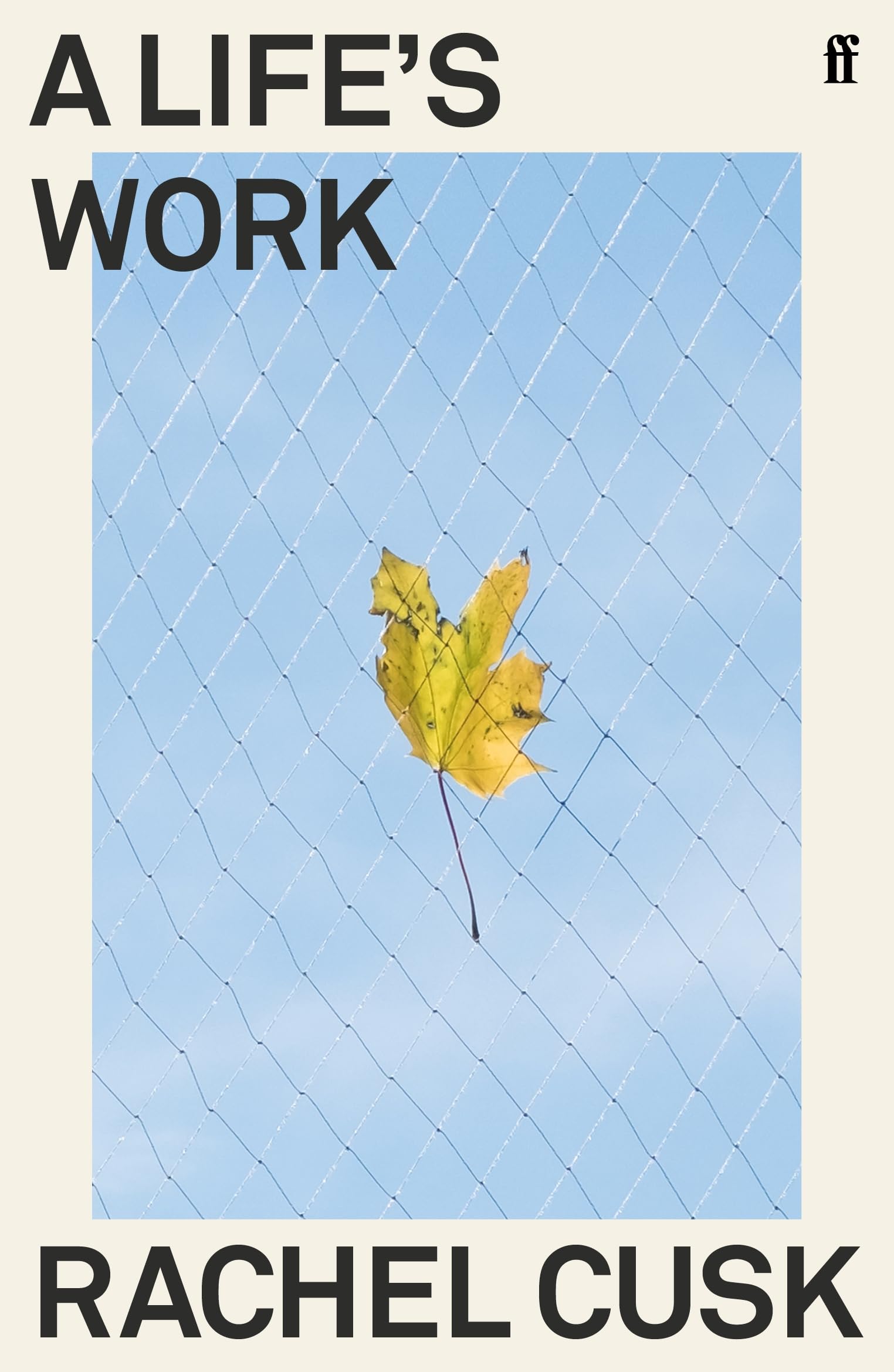 A Life's Work: 'A writer of almost electrifying intensity.' Irish Times