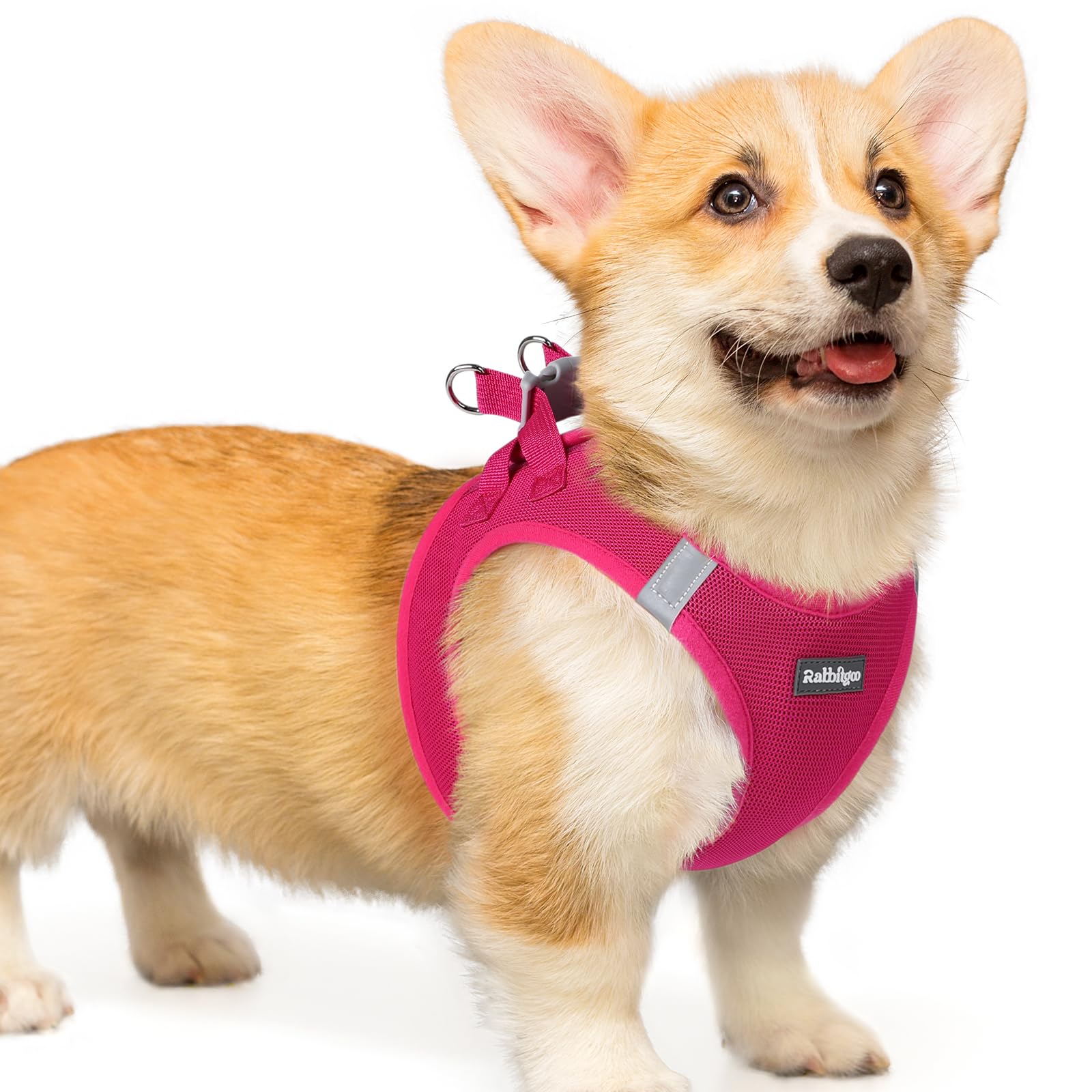 rabbitgoo Hundegeschirr kleine Hunde, Step-in Soft Mesh Hundegeschirr mit Sicherheitsverschluss, atmungsaktives und reflektierendes Welpengeschirr für kleine Hunde
