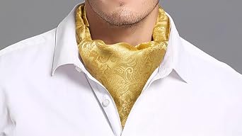 Barry.Wang Men Ascot Cravat Tie with Pocket Square Cufflinks Tie Set Paisley Jacquard Silk Woven Floral Necktie