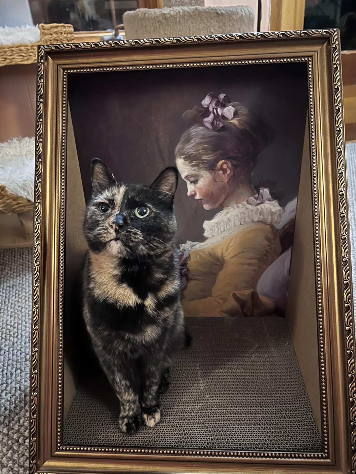 Mona Lisa oil painting cat bed replaceable oil painting cat scratch board photo frame three-dimensional effect creative cat bed photo review