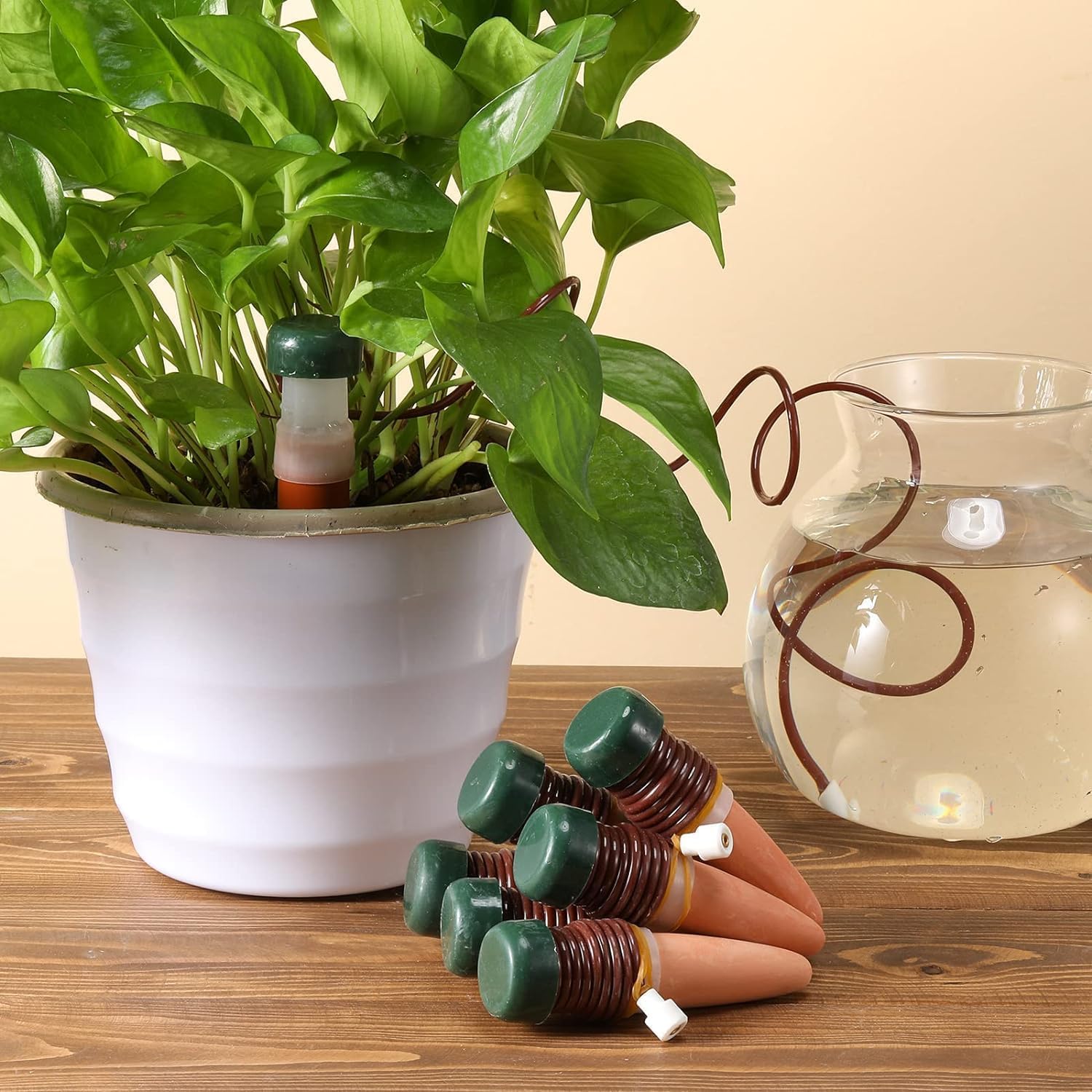 12 Stück Wasserspender für Zimmerpflanzen,Classic Bewässerungssystem,Automatische Bewässerung Zimmerpflanzen,Bewässerungssystem Balkon,Selbstbewässerung Bewässerungssystem,Pflanzenbewässerung