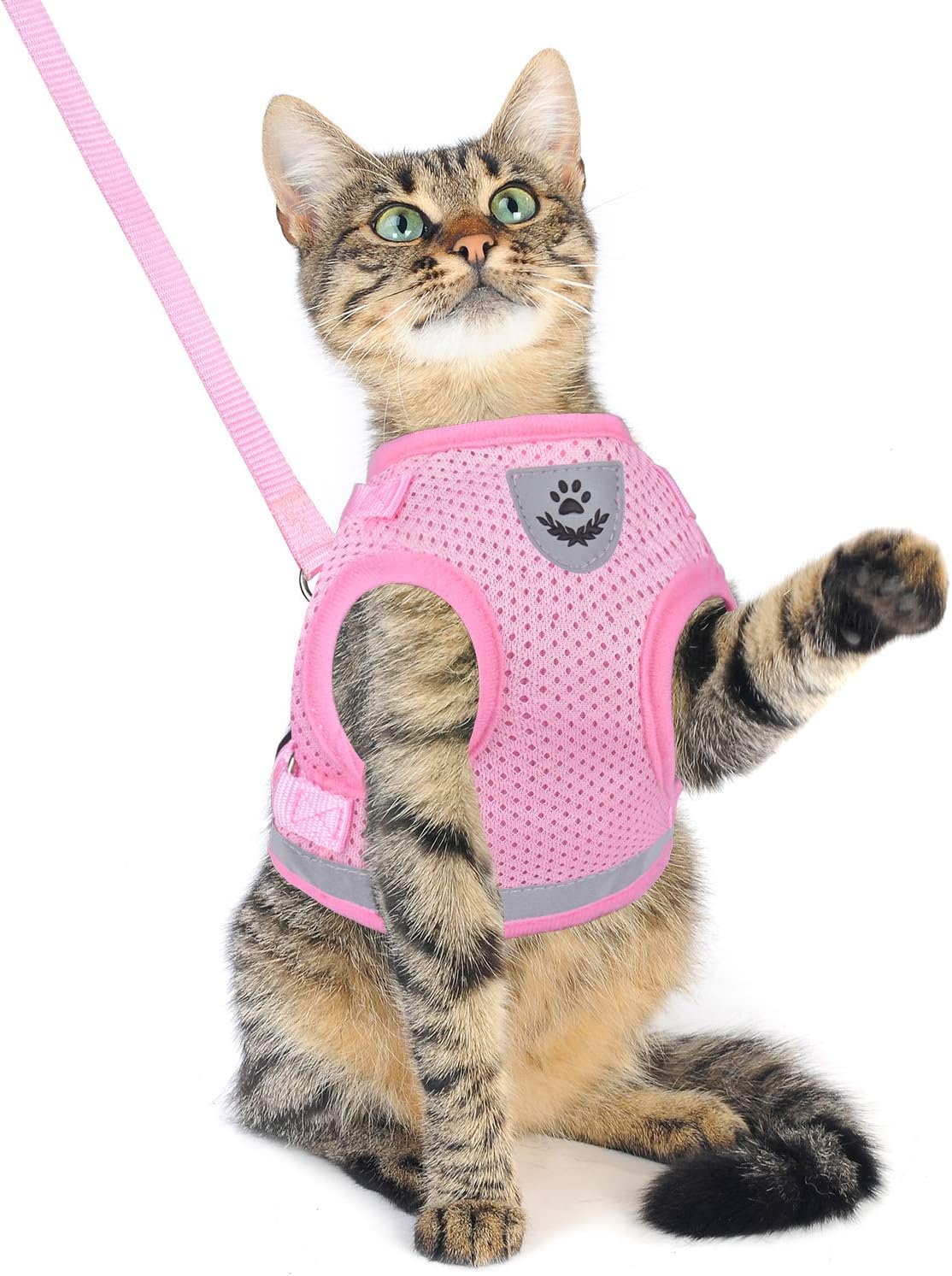 Dog and Cat Universal Harness with Leash Set, Escape Proof