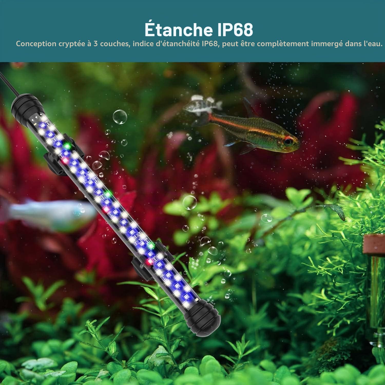 SEAOURA Éclairage Aquarium avec Minuterie, Éclairage Submersible pour Bac à Poissons, avec Allumage/Extinction Automatique, 3 Modes d'Éclairage, Luminosité Réglable (58cm)