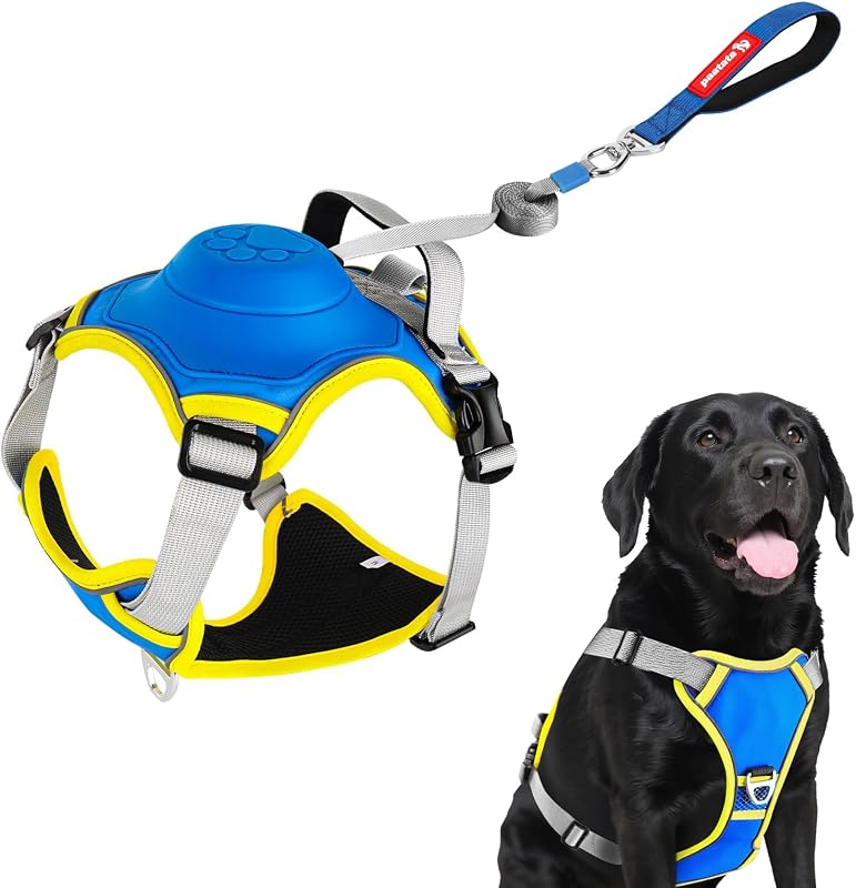 Peitoral para Cães com Guia Retrátil 2 em 1, Faixas Refletivas e Malha Respirável paatata, Tamanho M, Color 2