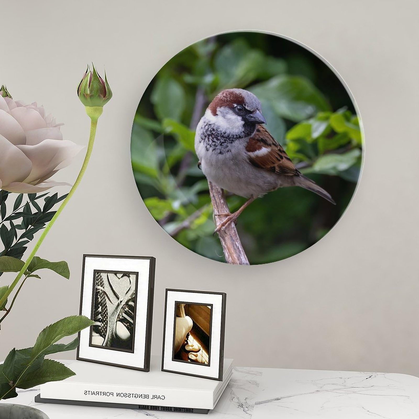 Amazon.com | Round Decorative Plate 8