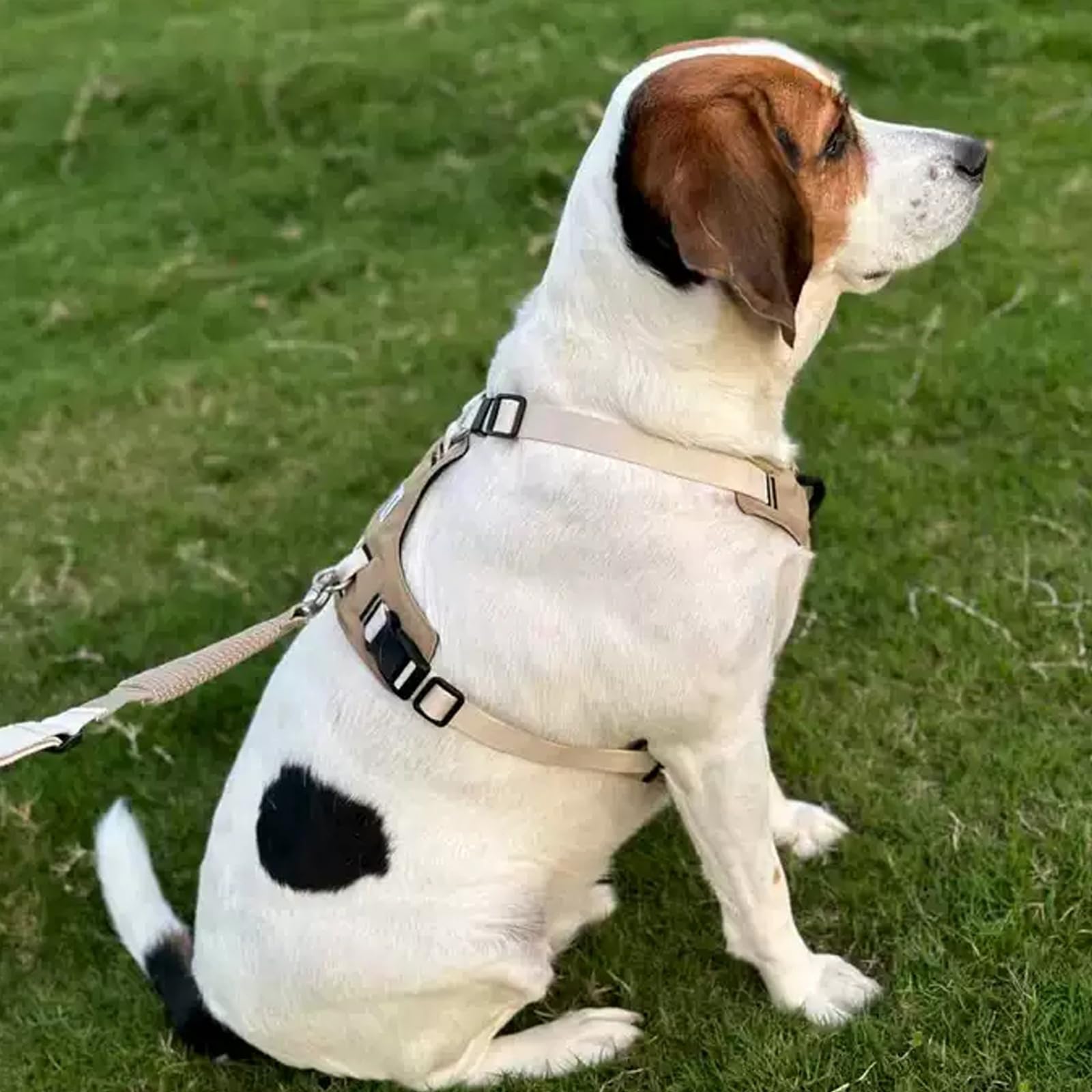 H-Style Harnais pour chien anti-traction, anti-étranglement en nylon avec clips avant et arrière et 4 boucles réglables jusqu'à 35 kg (marron, L)