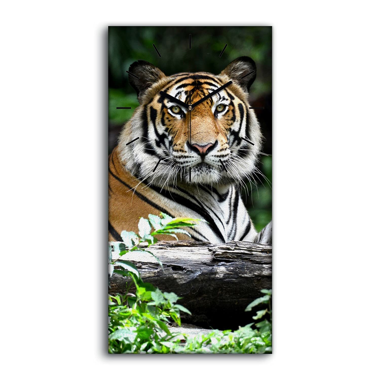 Horloge sur Toile Silencieuse sans tic tac Image Art Moderne Tigre Chat 30x60