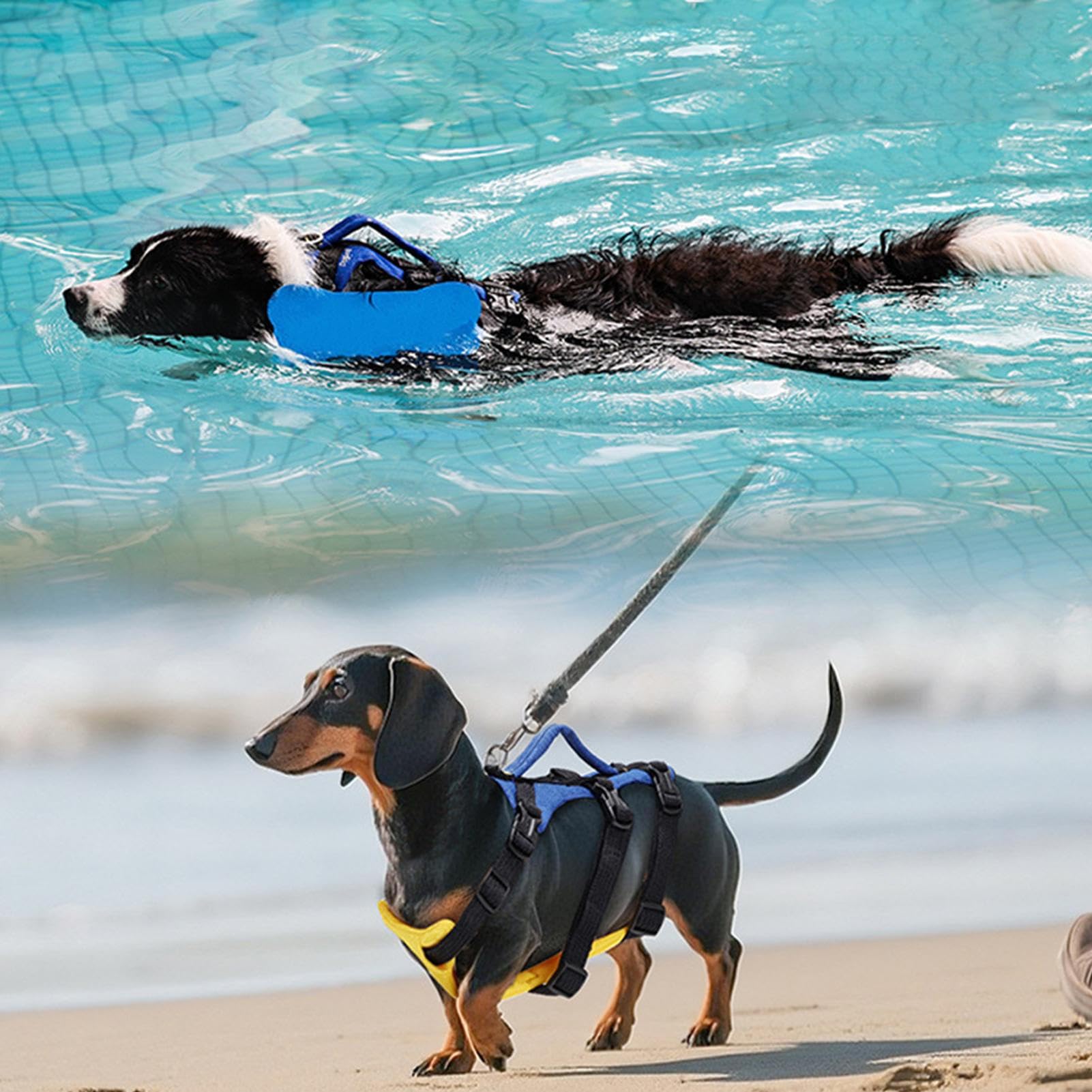 Gilet De Sauvetage pour Chien Veste Flottante Natation | Flotteur Réfléchissant Avec Poignée De Sauvetage Ajustable Pour Sécurité Aquatique Piscine Lac Bateau
