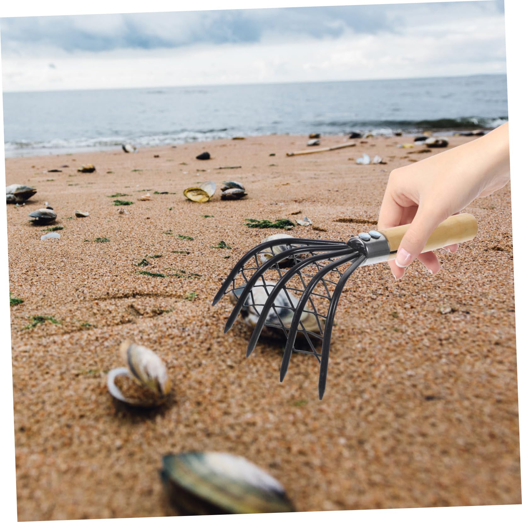 BESTonZON 2stücke Muschelrechen Mit Holzgriff Werkzeug Zum Ausgraben Von Muscheln Und Meeresfrüchten Für Strand Langlebig Und rutschfest Effizient Und Benutzerfreundlich