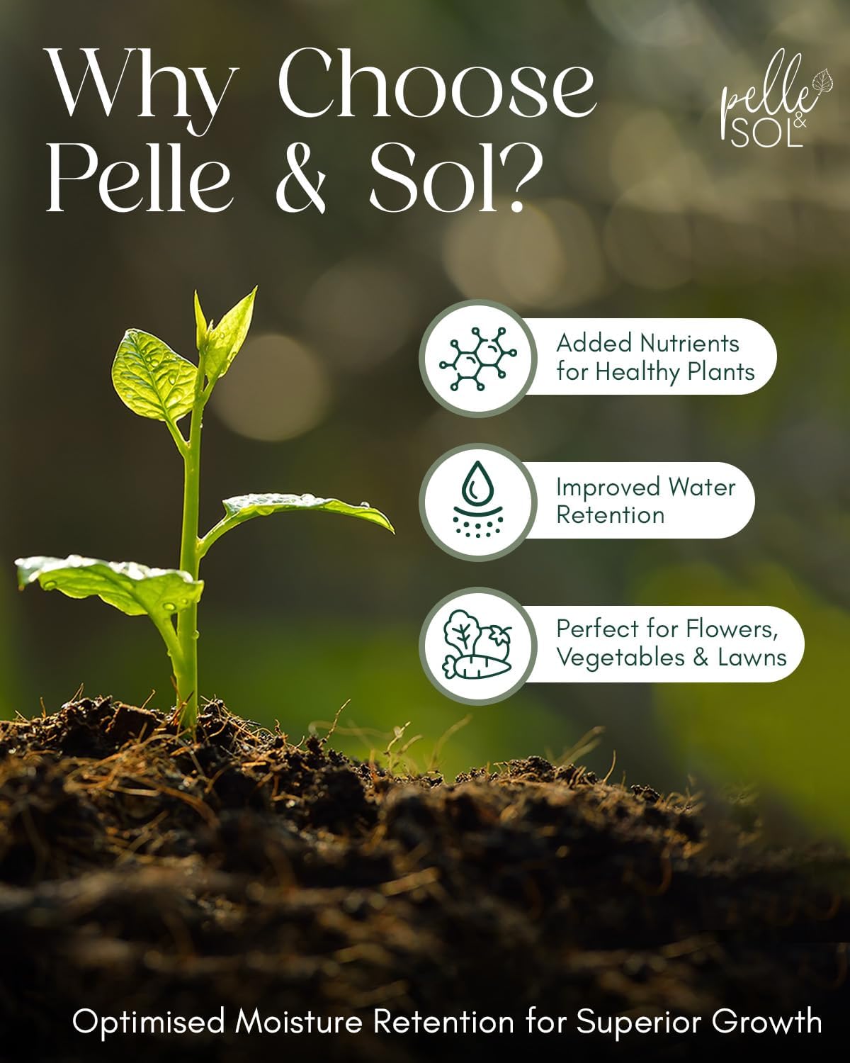 Pelle & Sol 60L Multi Purpose Compost - Compost for Outdoor Plants & Soil for Plants Indoors - Potting Soil for Pots Plants Outdoor - All Purpose Nutrient Rich Fertiliser, Houseplant Potting Mix - 3