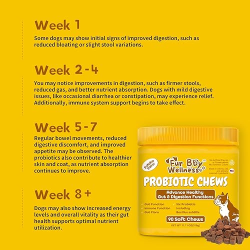 Miniatura 7 de Fur Baby Wellness Probióticos para perros  Salud digestiva, enzimas digestivas para la flora intestinal, la diarrea y el apoyo intestinal