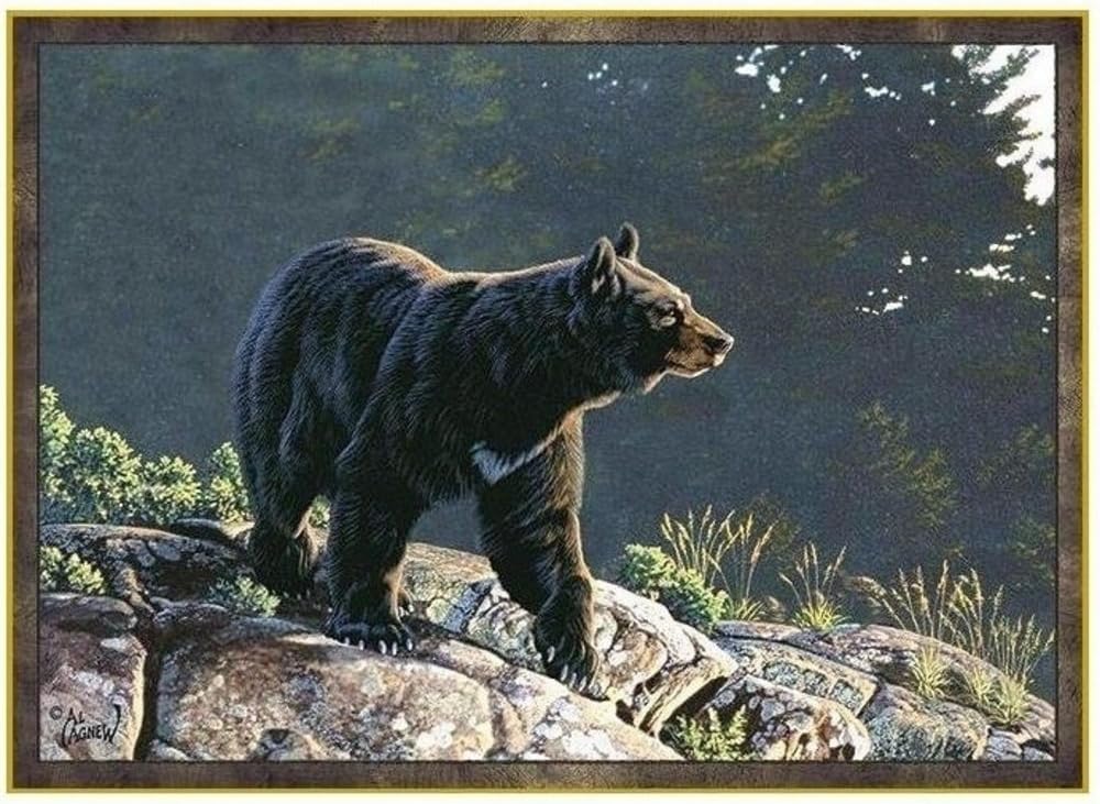 Amazon.com: Custom Printed Rugs Black Bear Area Rug Evening Calm : Home ...