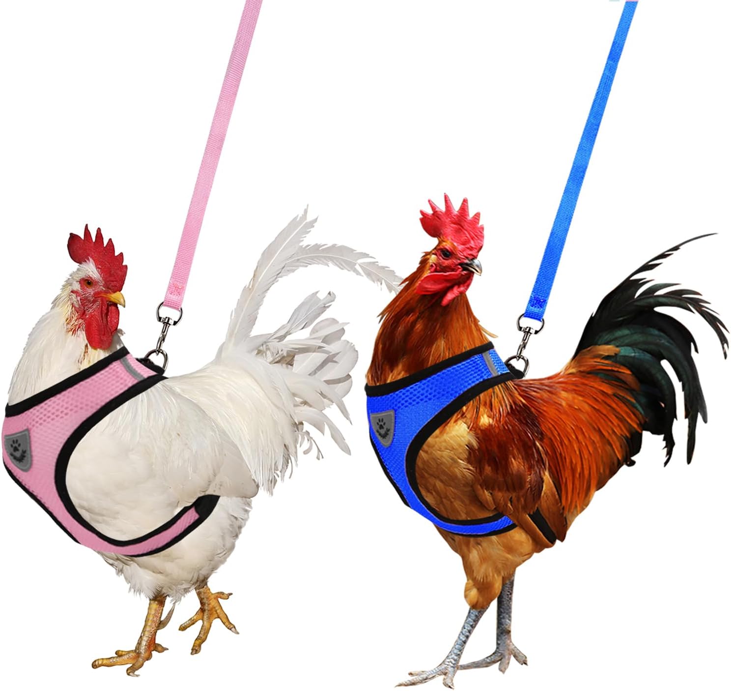 2PCS Adjustable Chicken Harness with Leash Small Pet Harness and Leash for Duck Hen Goose Walking (Blue S + Pink M