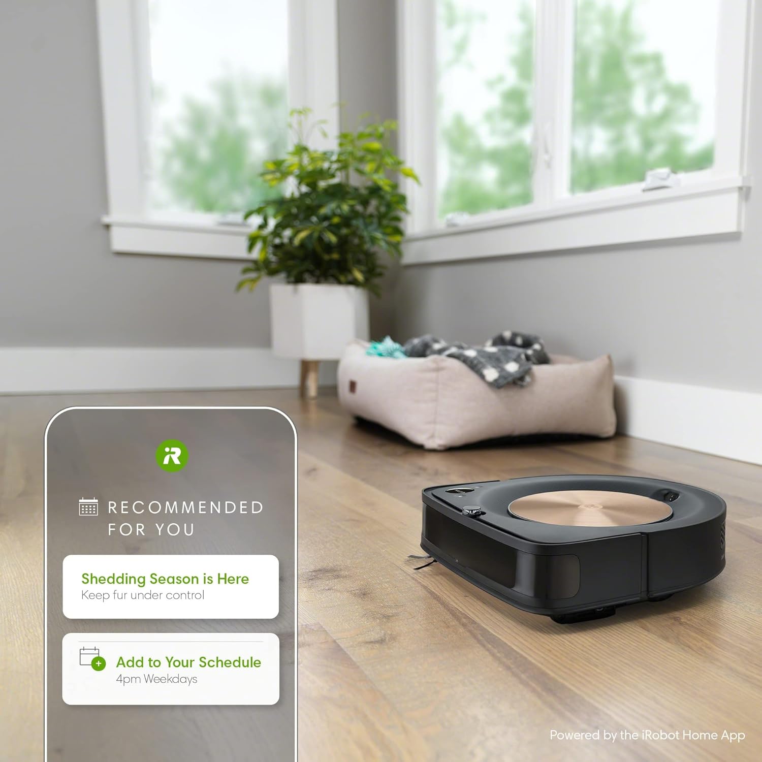 iRobot Roomba s9+ (9550) Robot Vacuum with Automatic Dirt Disposal- Empties itself, Wi-Fi Connected, Smart Mapping, Powerful Suction, Corners & Edges, Ideal for Pet Hair, Black : Everything Else