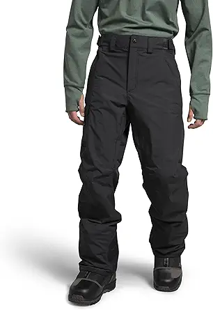 THE NORTH FACE Men's Freedom Snowpant