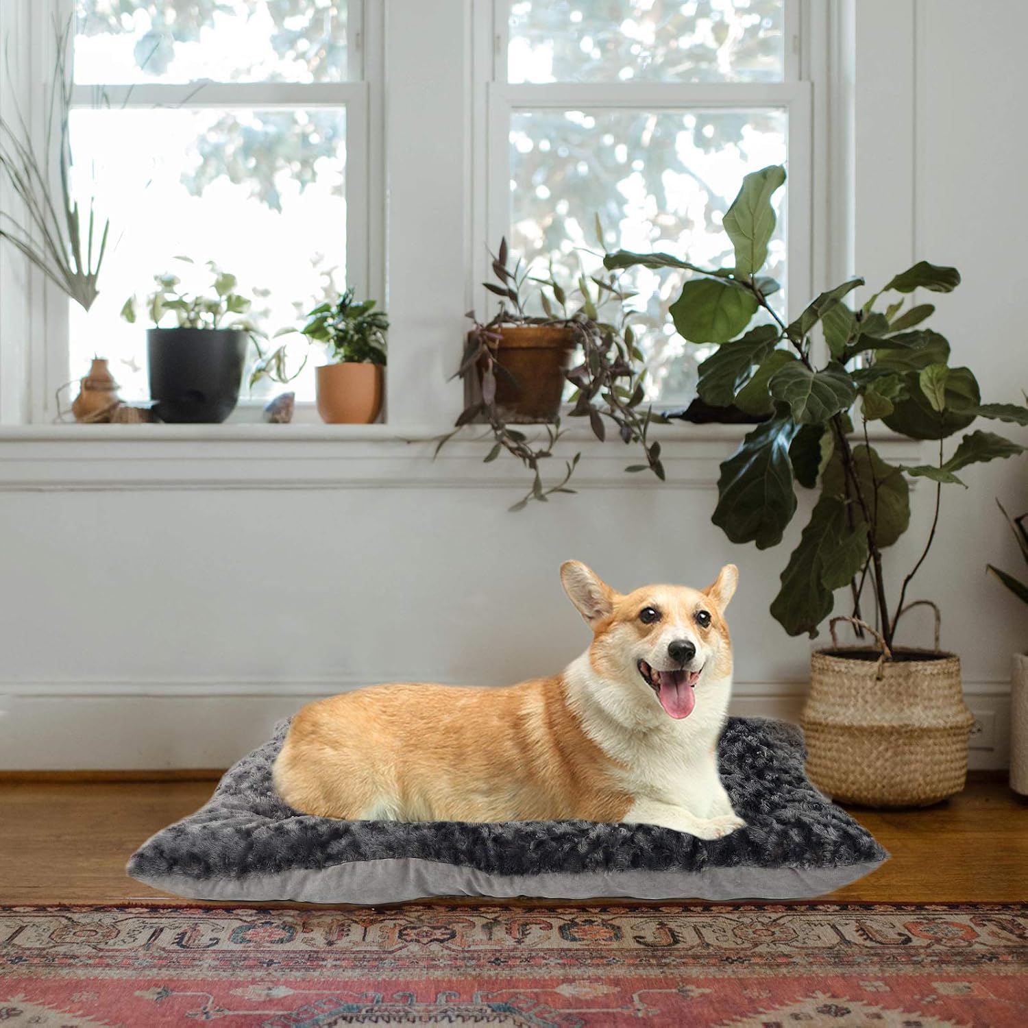 confote Deluxe Plush Pet Beds Dog Crate Mattress for Large Medium Small Dogs, Machine Wash & Dryer Friendly, Grey S