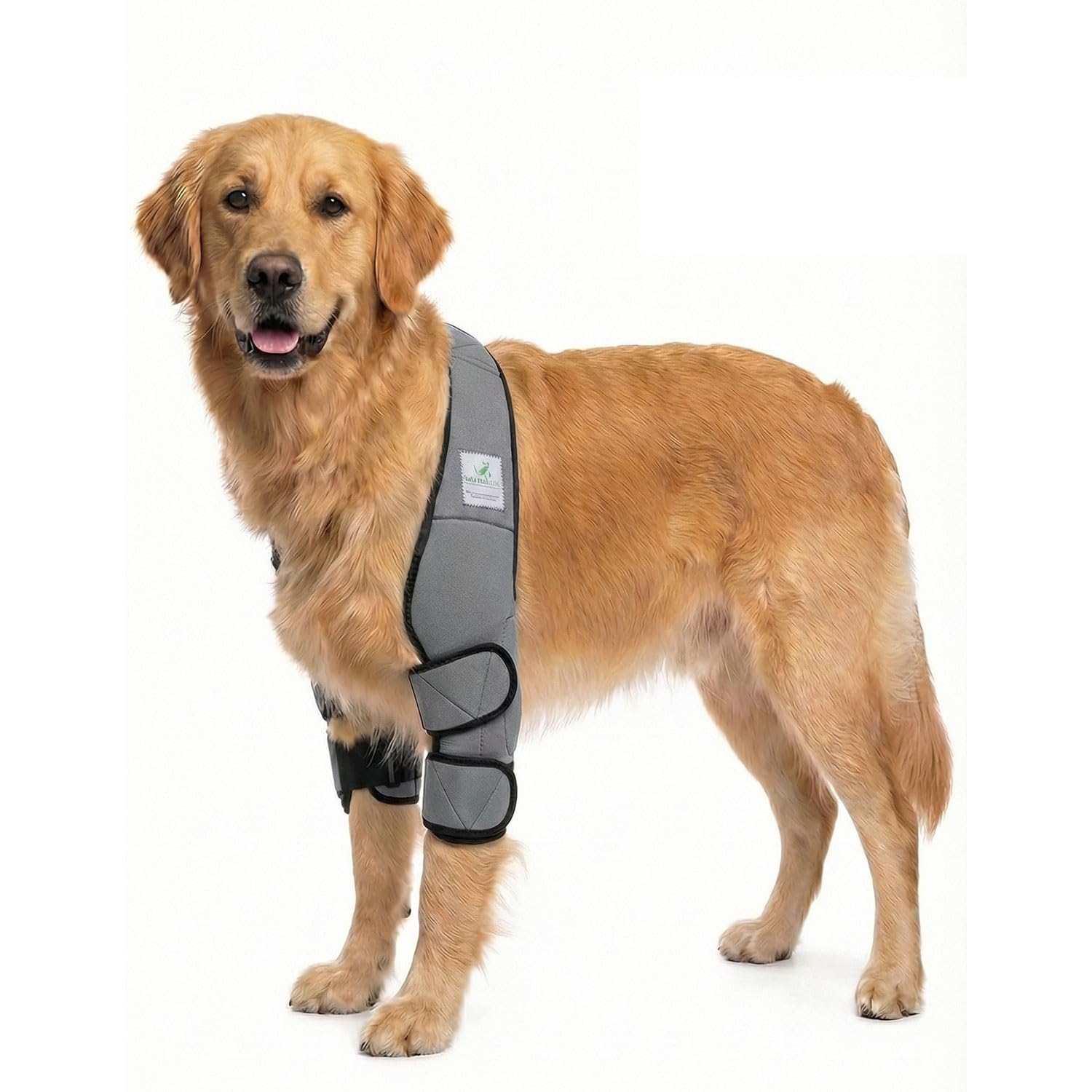 Tutore contro piaghe da decubito/tutore per calli/benda per il gomito/tutore per cani con igroma - Grigio - XS
