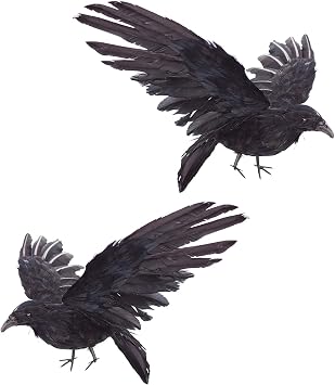 Etistta 2-Pack Realistic Crows Lifesize Extra Large Handmade Black Feathered Crow for Halloween Decorations Birds, XL 15 inch+15 inch