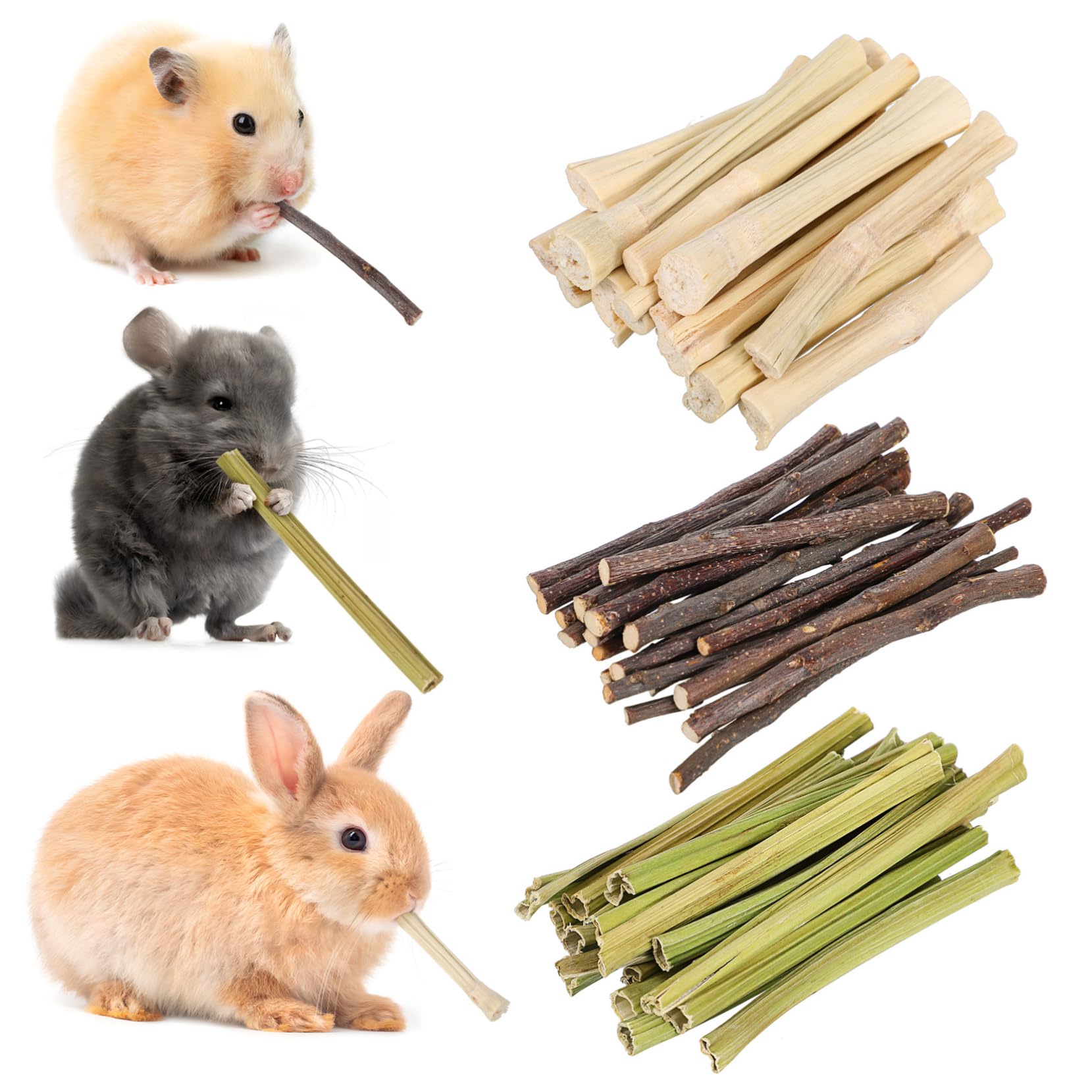 Toddmomy Giocattoli da Masticare per Conigli Bastoncini Naturali in Legno per Denti Piccoli Animali 55 Pezzi Snack Legnosi per Criceti Cincillà e Porcellini D’india