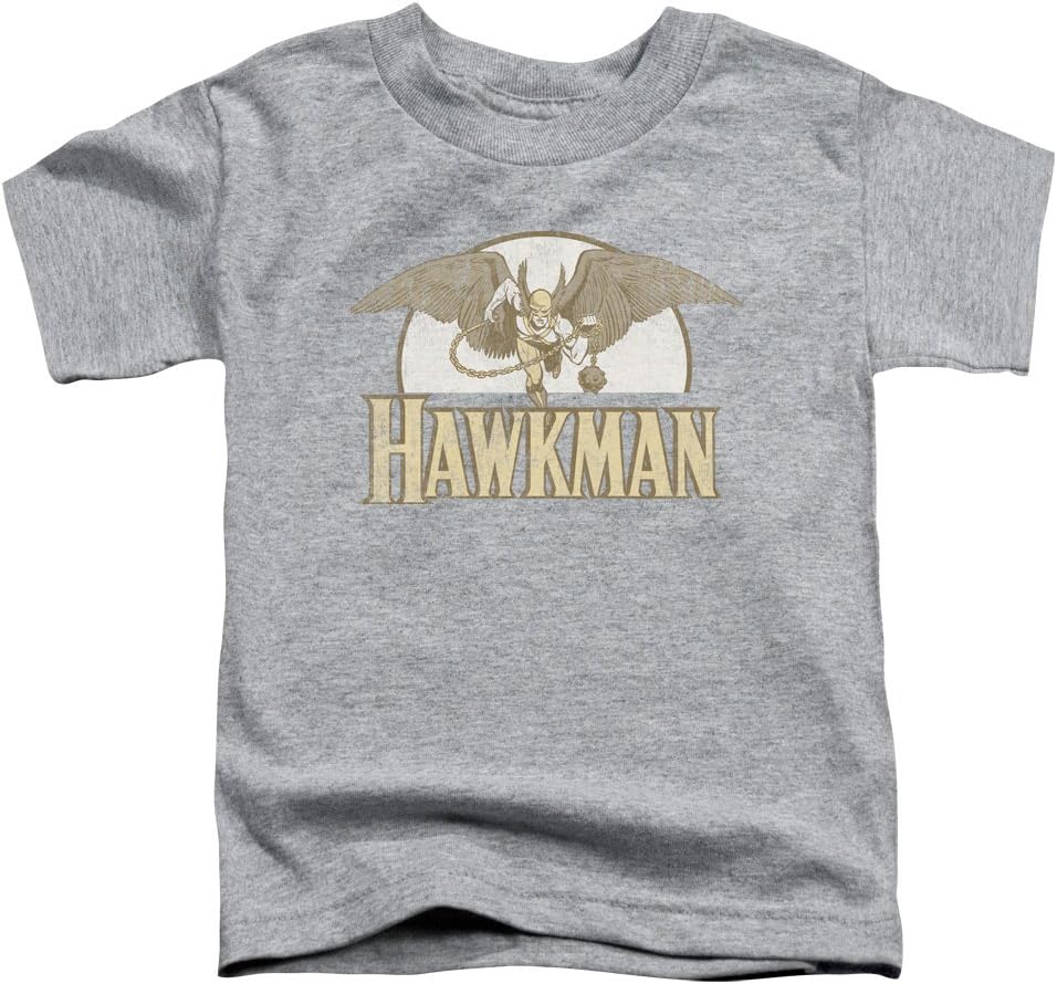Toddler: Hawkman - Fly By Baby T-Shirt Size 4T