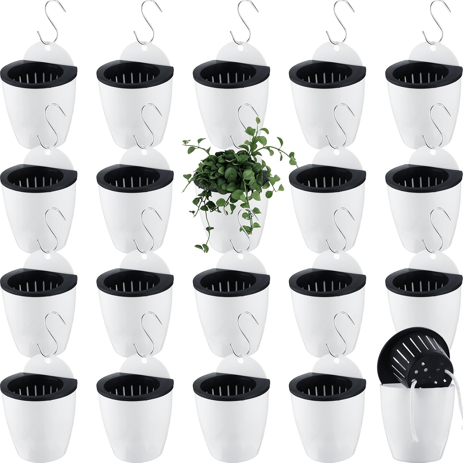 Dandat 20 Pack 4.3 Inch Wall Planter Self Watering Plastic Wall Pot Self Watering Planters Wall Mounted Herb Planter Indoor Flower Pots with Absorbent Cotton Ropes and Hooks for Garden Herbs Plants