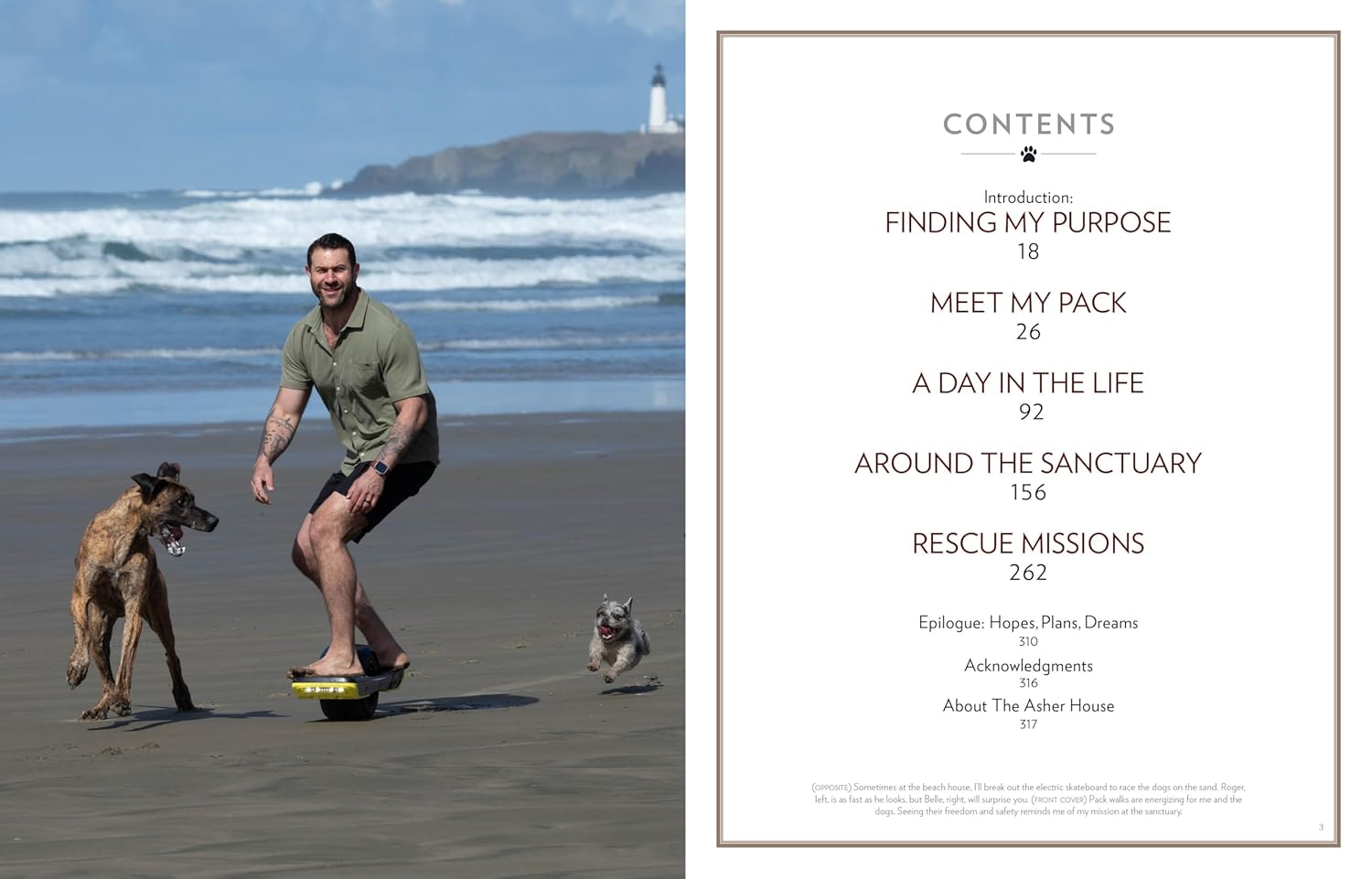 Saved by the Pack: How 50 Dogs Helped Me Find My Purpose      Hardcover – September 29, 2026