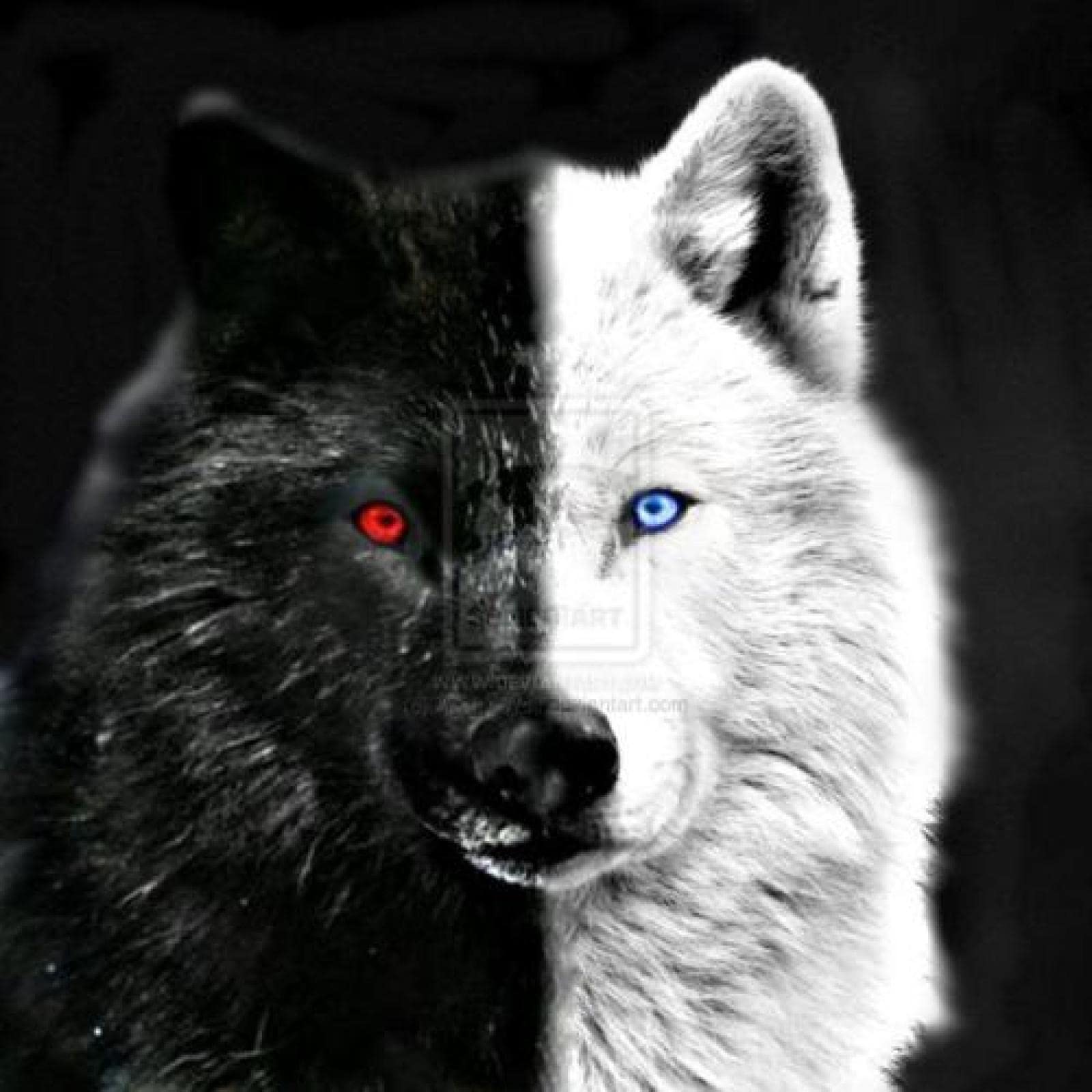 Peinture diamant loup des neiges pour décorer votre salon avec un tableau mosaïque DIY