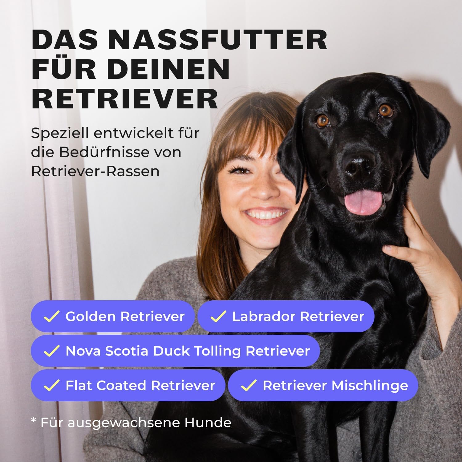 HEY HOLY Premium Wet Food for Retrievers, 6 x 400 g Dog Food for Adult Retrievers with Lamb, Highly Compatible from Natural Ingredients Lamb (Retriever) 400 g (pack of 6)