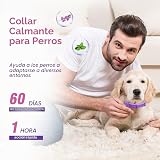 Ver la foto 5