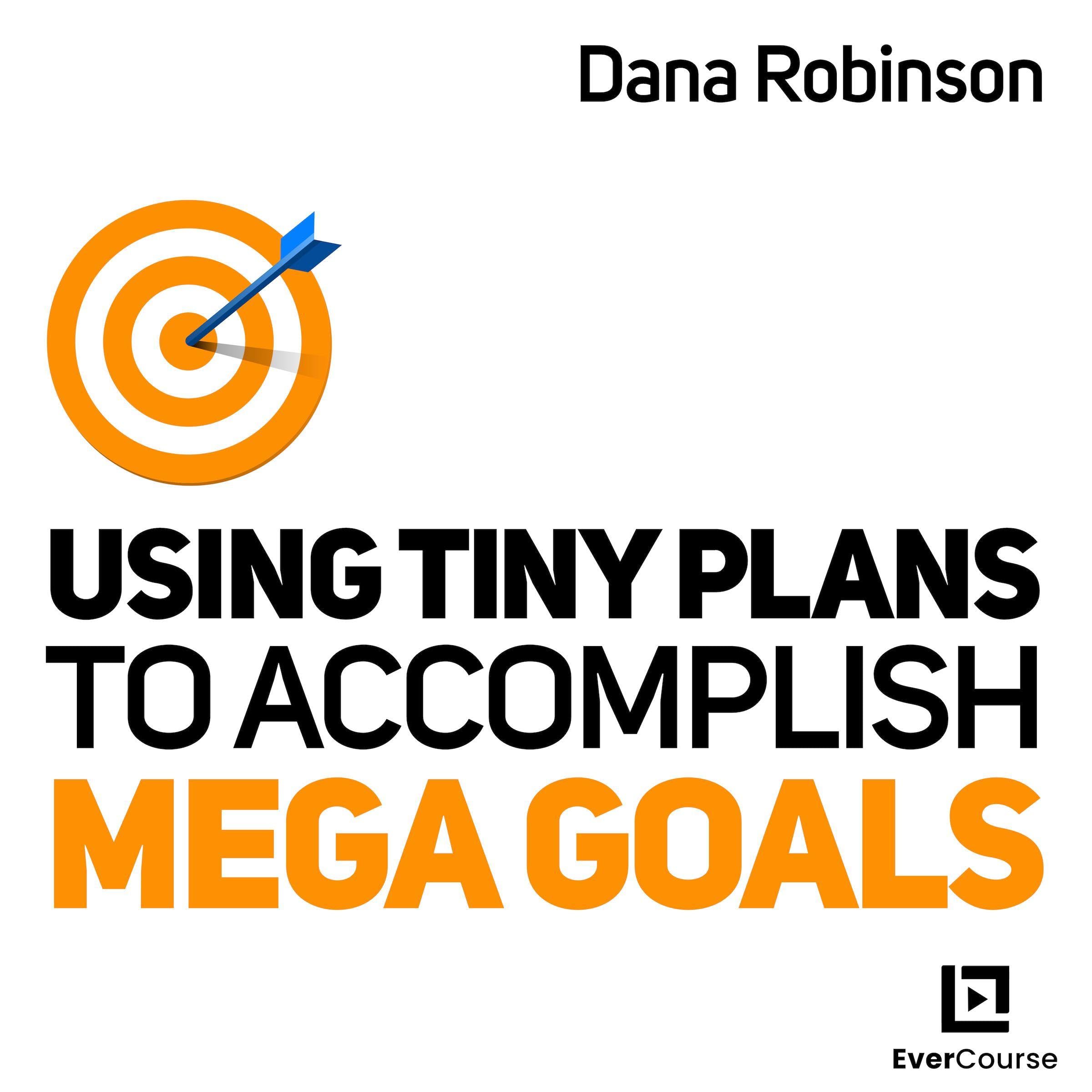 Using Tiny Plans to Accomplish Mega Goals in Business and Life