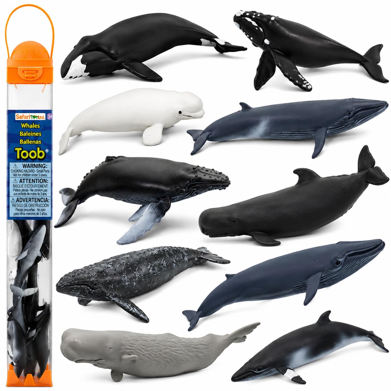 Amazon.com: Safari Ltd. Whales TOOB, 10 Figurines, Blue, Humpback